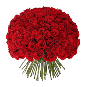 100 Red Roses with Hand Tied Bouquet
