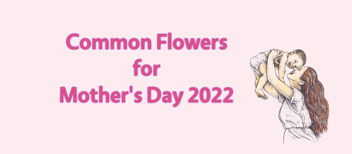 Common Flowers for Mother's Day 2022