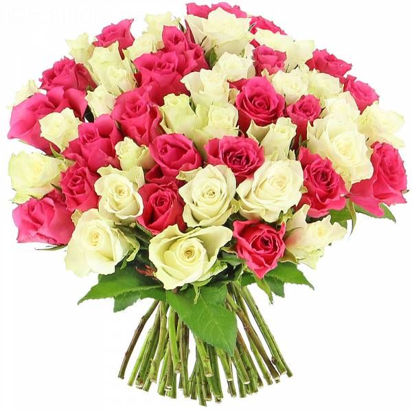 Bouquet of Pink & White Roses with Hand Tied in Dubai, UAE