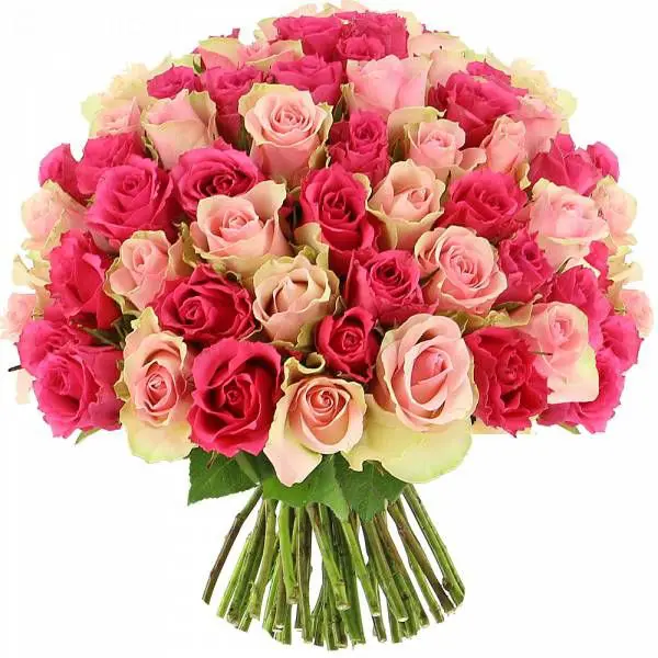 Buy Lavish Pink Roses Bouquet Online in Dubai | Florist UAE