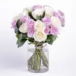 Lovely Purple and White Roses
