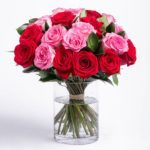 Lovely Red and Pink Roses