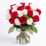 Lovely Red and White Roses