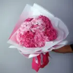 Pink Hydrangeas - 6 stems
