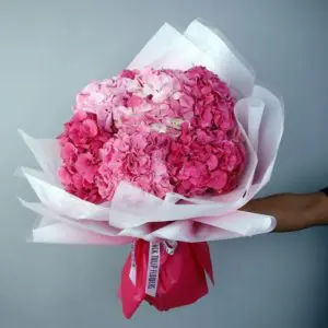 Pink Hydrangeas - 6 stems