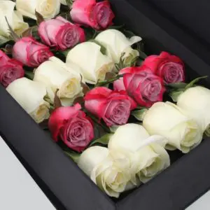 White & Deep Purple Roses in Black Box