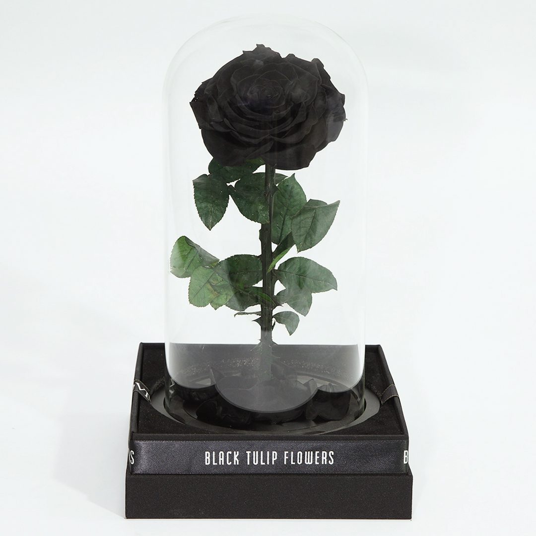 Single Black Forever Rose Flower Delivery UAE