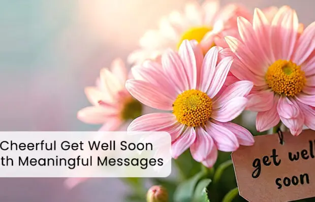 Cheerful get well soon flowers convey heartfelt messages and brighten their day. Discover the list of best blooms and thoughtful flower arrangements for a speedy recovery.