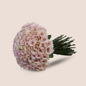 Ivory Whisper 100 Roses