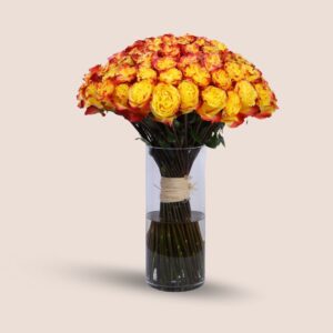 Sunset Blaze 100 Roses